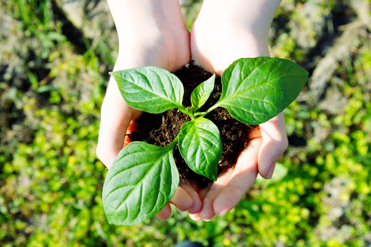 安全への取り組み・SDGs