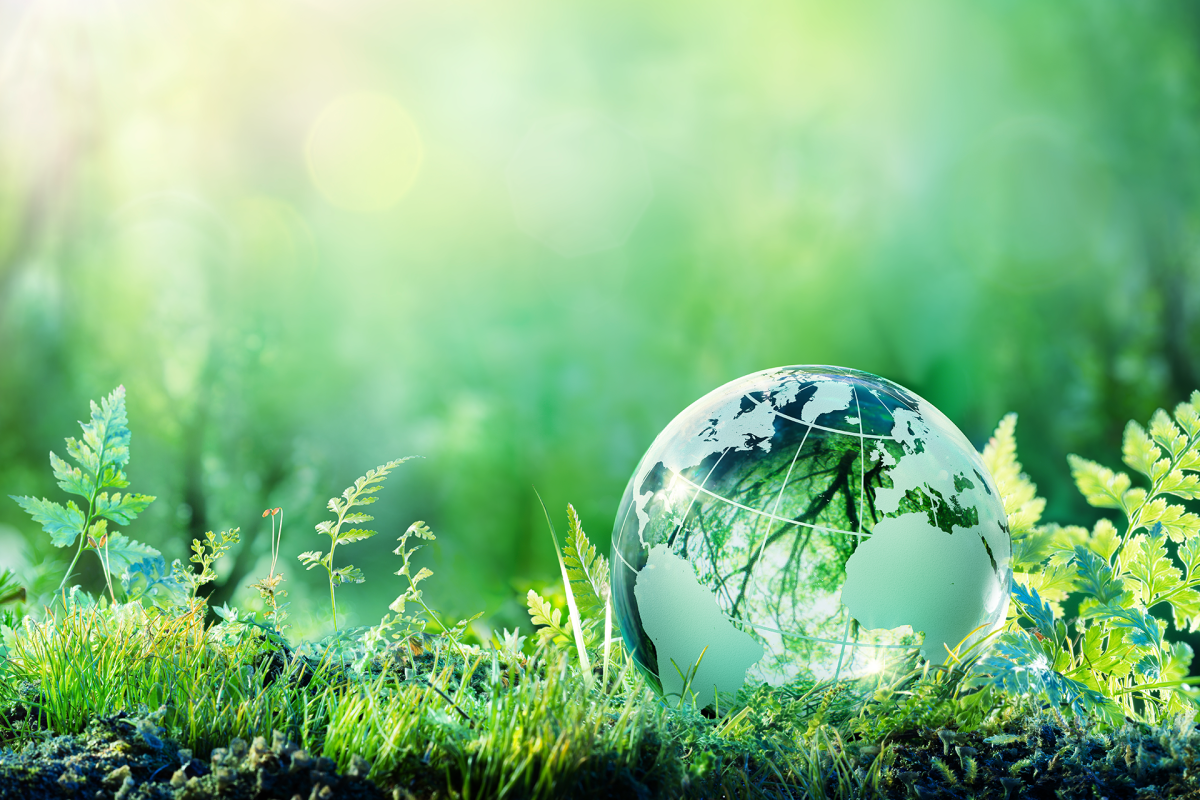 安全への取り組み・SDGs