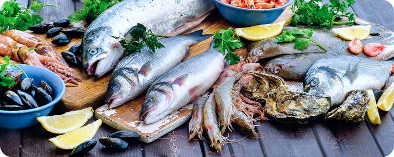 水産物のイメージ