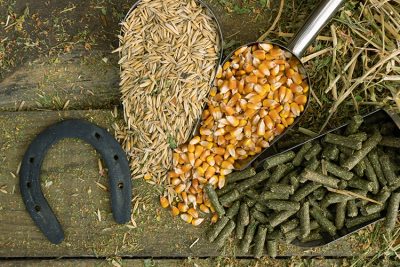 自社保税上屋を活用した植物検疫の事例（輸入）