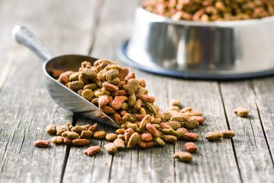 ペットフード通関事例（輸入）